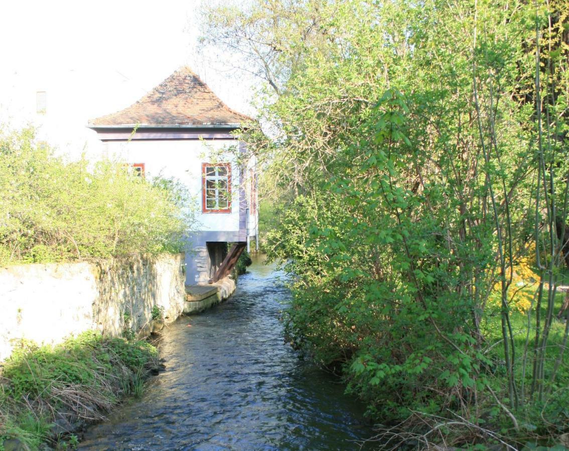 Am Puls Der Altstadt 埃尔福特 外观 照片