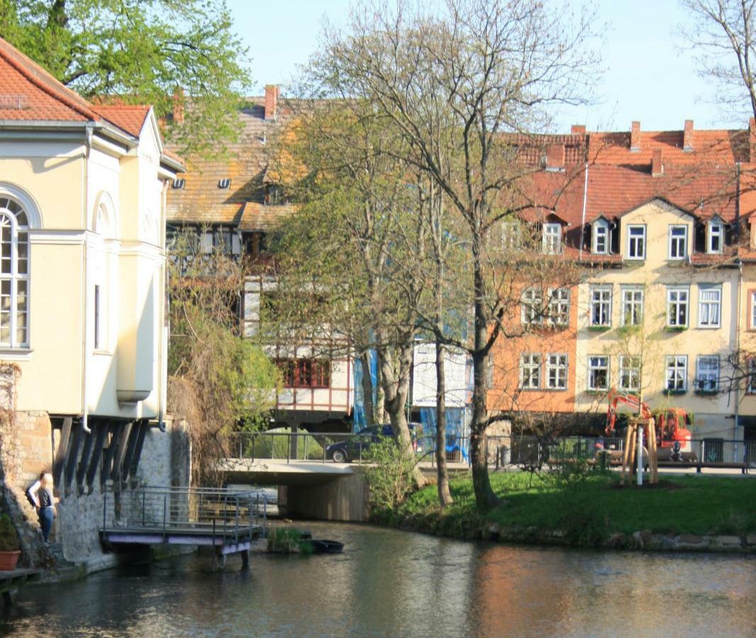 Am Puls Der Altstadt 埃尔福特 外观 照片