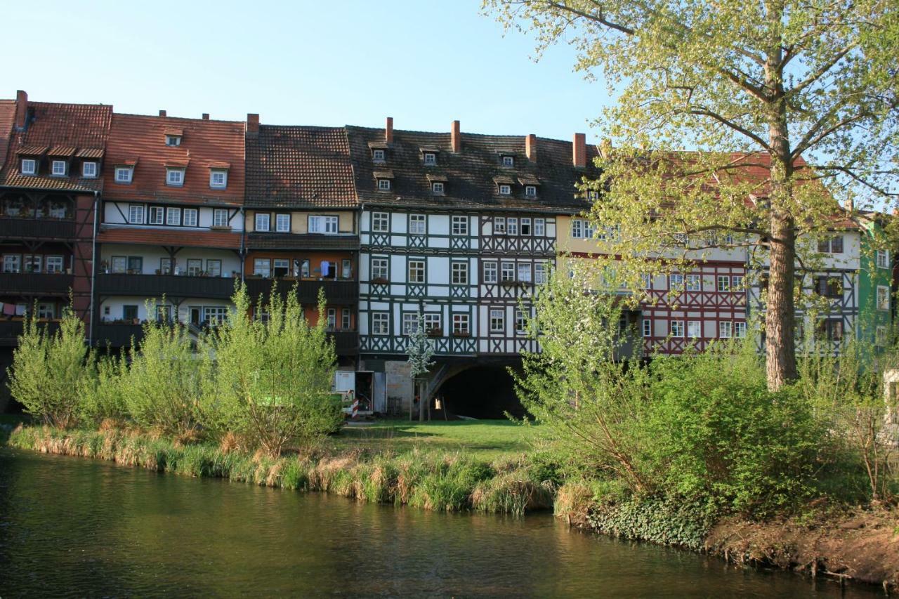 Am Puls Der Altstadt 埃尔福特 外观 照片